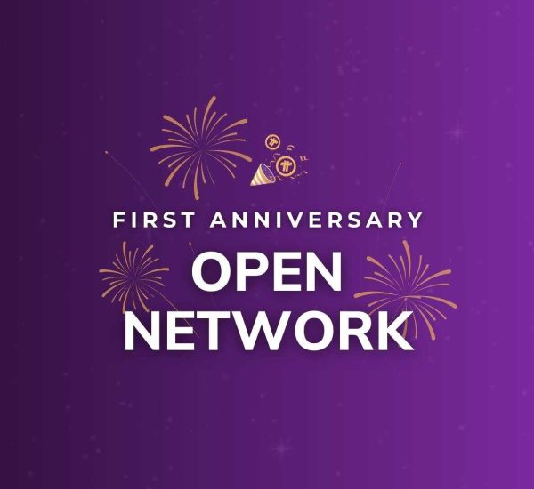 Pi Network 开放网络一周年纪念